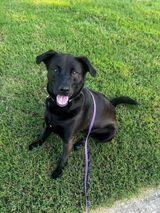 Bailey Upchurch review photo