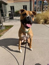 Payton review photo