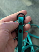 Cvwalter review photo