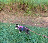 Michelle and Beans review photo