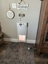 Dan review photo