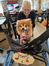 Anonymous review photo