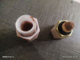 Taqdees Safdar review photo