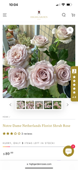 James Valverde review photo