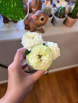 May review photo