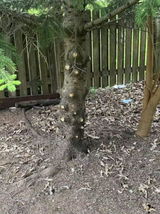 rickey review photo