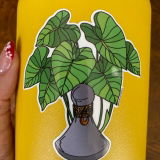 Kimani review photo