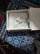 Satya review photo