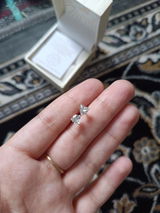Shabina review photo