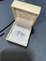 Ani review photo
