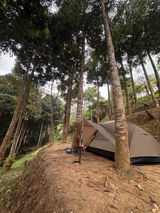 Rendy Maulana Putra review photo