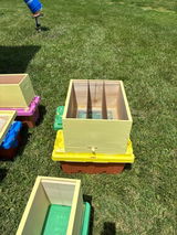 Brad the beekeeper review photo