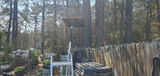 Steele Wings Apiary review photo