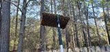 Steele Wings Apiary review photo