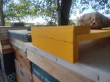 Om Apiaries review photo