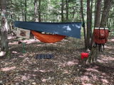 DocWatson review photo