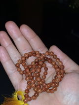 Vedang Maitreya Bhagwat review photo
