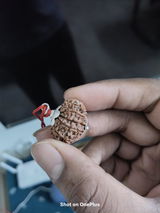 NAMANA SAI HRUDAY review photo
