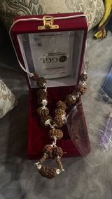 mahendra singh review photo