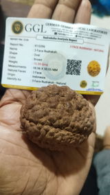 Bhagvatsinh solanki review photo