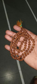 Parth C Parmar review photo