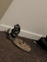 Adam review photo