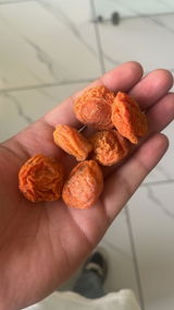 Yash thakur review photo