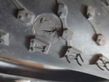 D.L. review photo