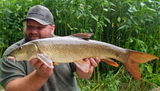 Dannys Angling Blog review photo