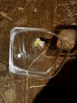 V. review photo