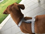 Susan review photo