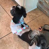 Hailey review photo