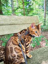 Tanja review photo