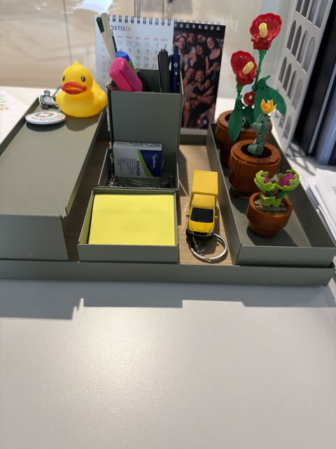 Domino - Organizer