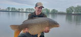 Wilfried review photo