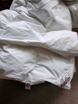 Ilse S. review photo