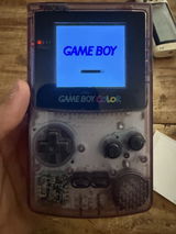 Guy Shtainer review photo