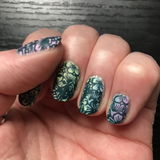 Cassandra Winter review photo