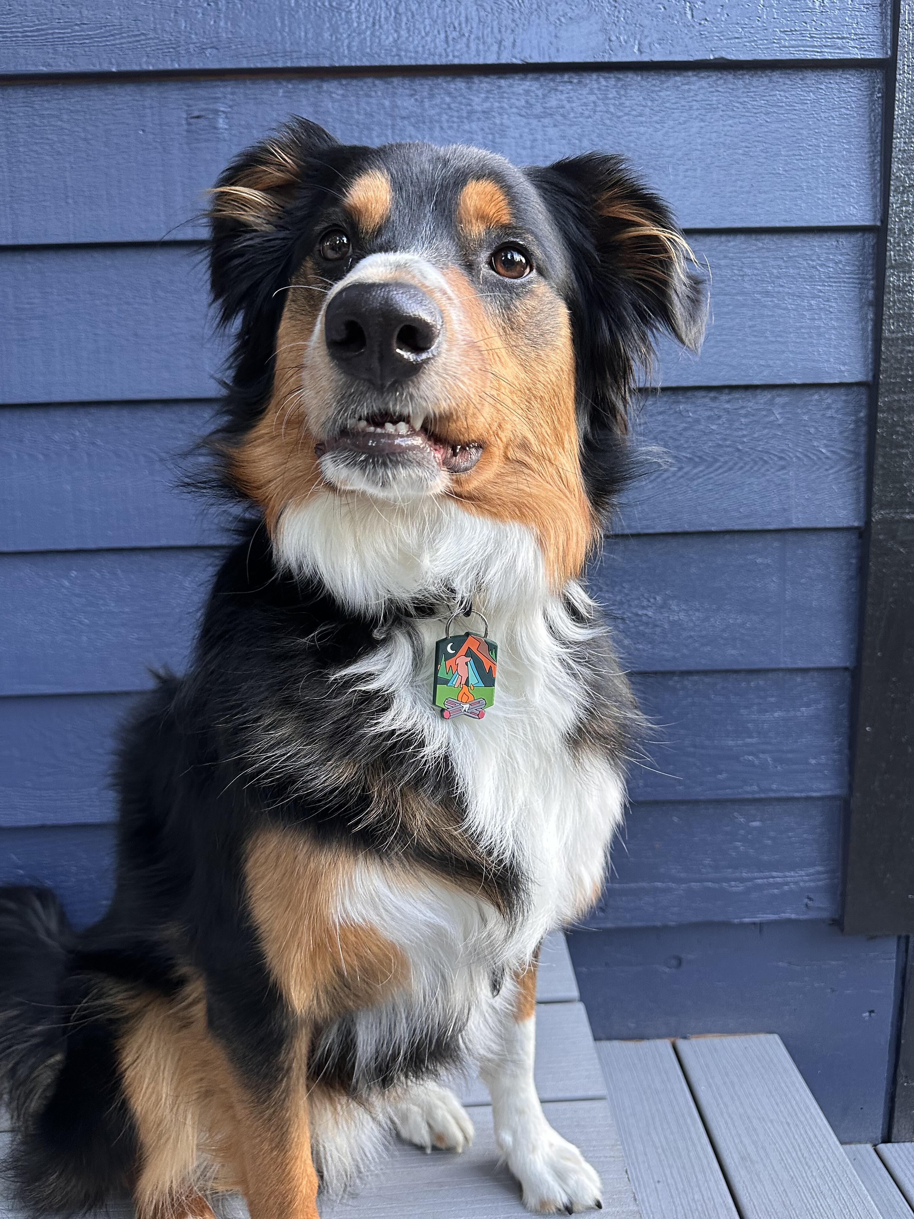 Maddy review photo