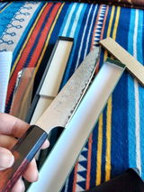 Carolynn Schmale review photo