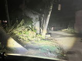 Sourav Biswas review photo