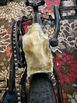John Abbott review photo