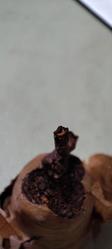Ma review photo