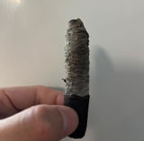 BT review photo