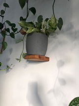 Milena review photo