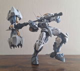 Janus Avivson review photo