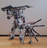 Janus Avivson review photo