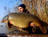Davide Miceli review photo