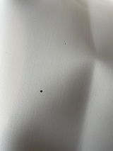 Rossana Lanzo review photo