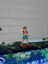 Farshu G. review photo